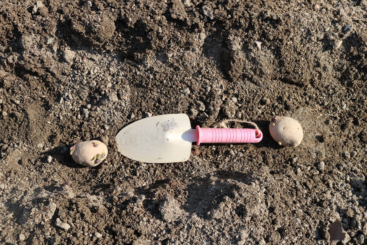 f:id:siz0310_2:20190324053303j:plain