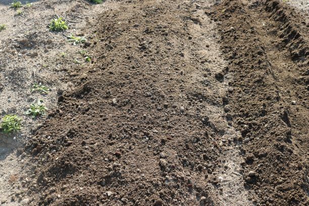 f:id:siz0310_2:20190324053510j:plain