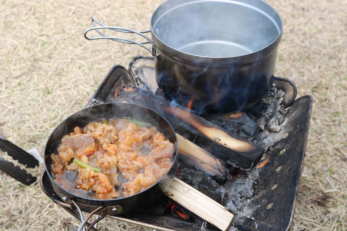 f:id:siz0310_2:20190329055839j:plain