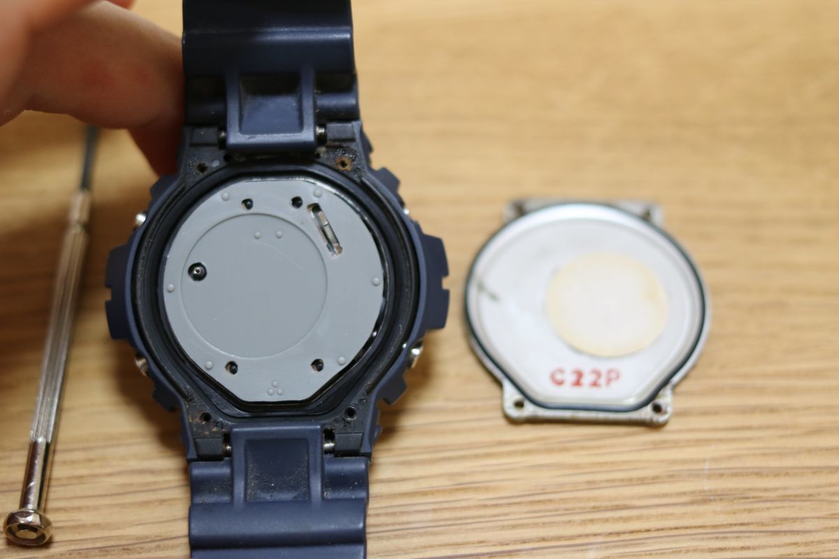 f:id:siz0310_2:20200602060545j:plain