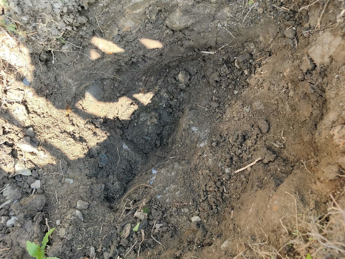 f:id:siz0310_2:20200623055831j:plain