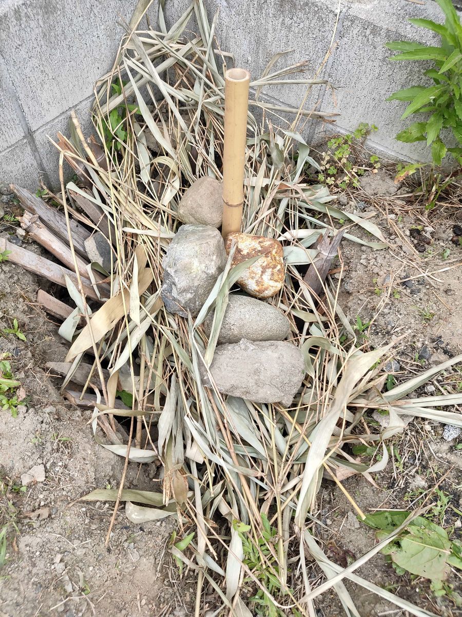 f:id:siz0310_2:20200623060247j:plain