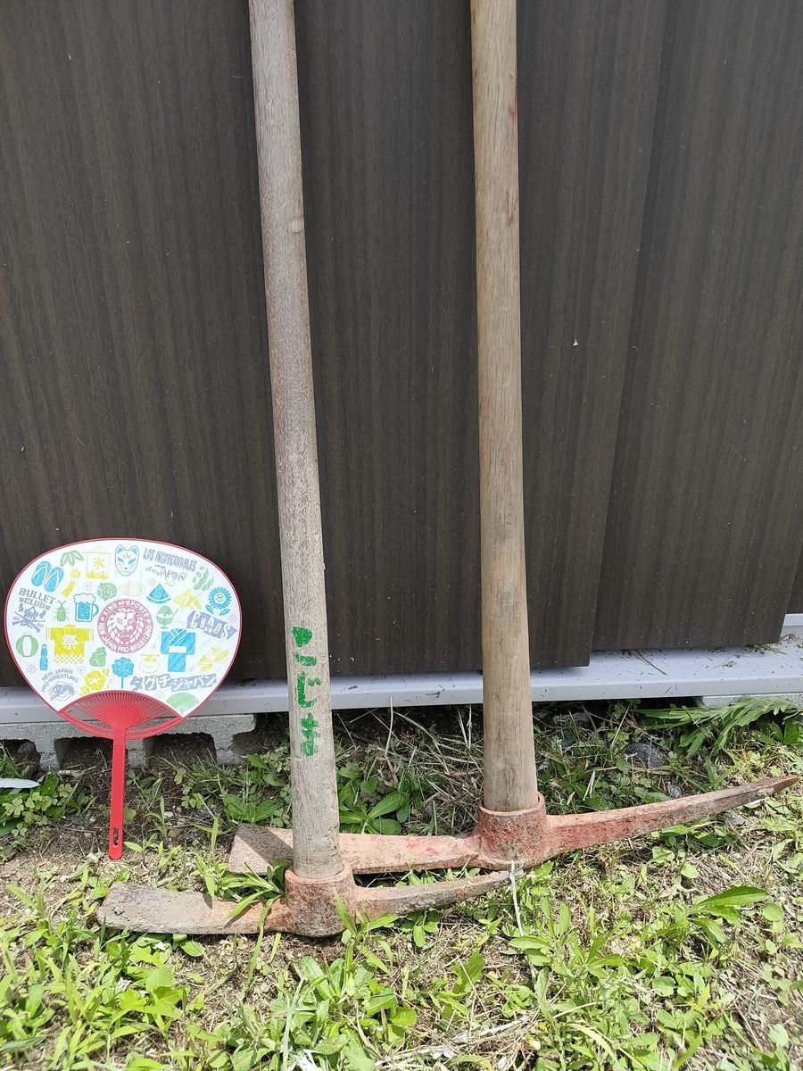 f:id:siz0310_2:20200628063236j:plain