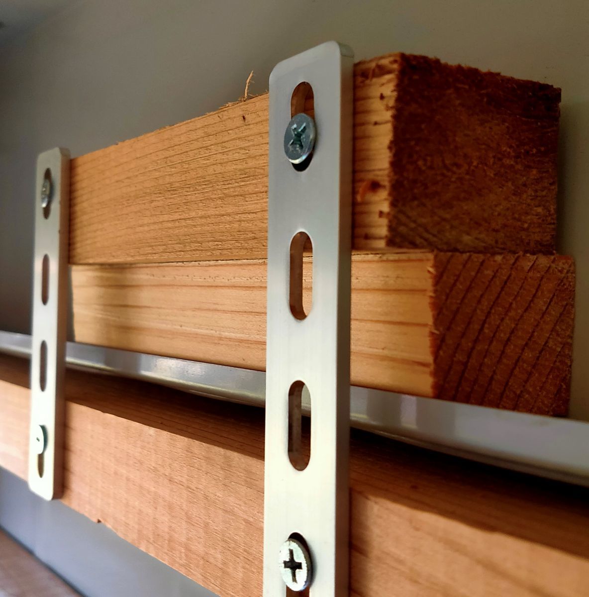 f:id:siz0310_2:20201123063514j:plain