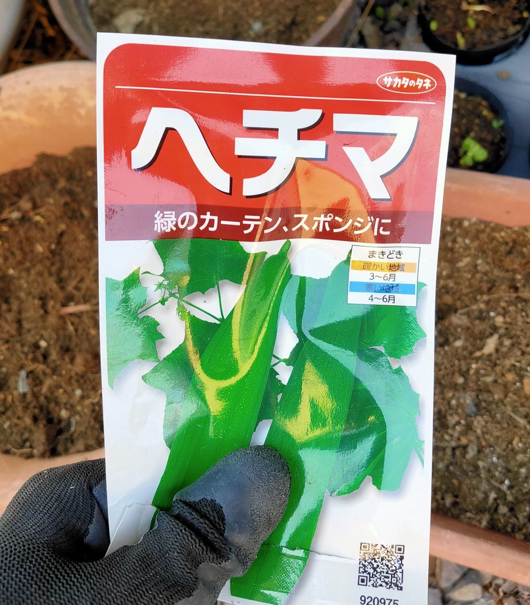 初めてのヘチマ栽培とコバ磨きと失敗 田舎ぐらしのコジマッティ