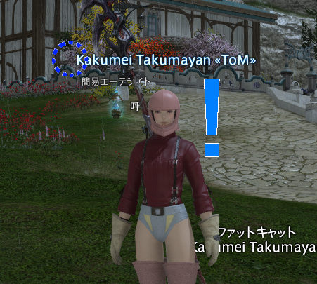 f:id:sizaemon:20190505152318j:plain