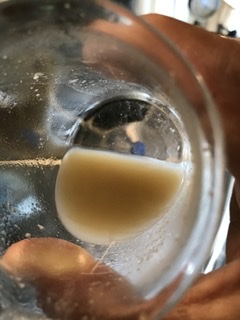 f:id:sizentonet:20210808181134j:plain