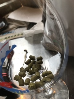 f:id:sizentonet:20210808181508j:plain