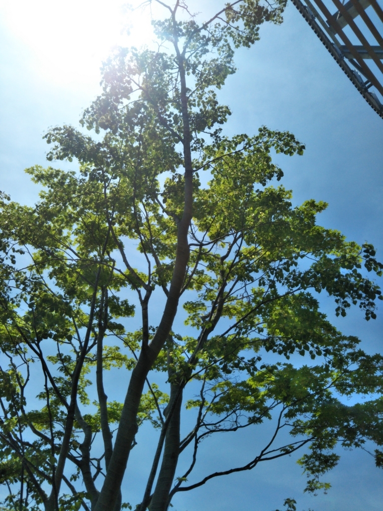 f:id:sizukumo:20180506093838j:plain f:id:sizukumo:20180506093838j:plain