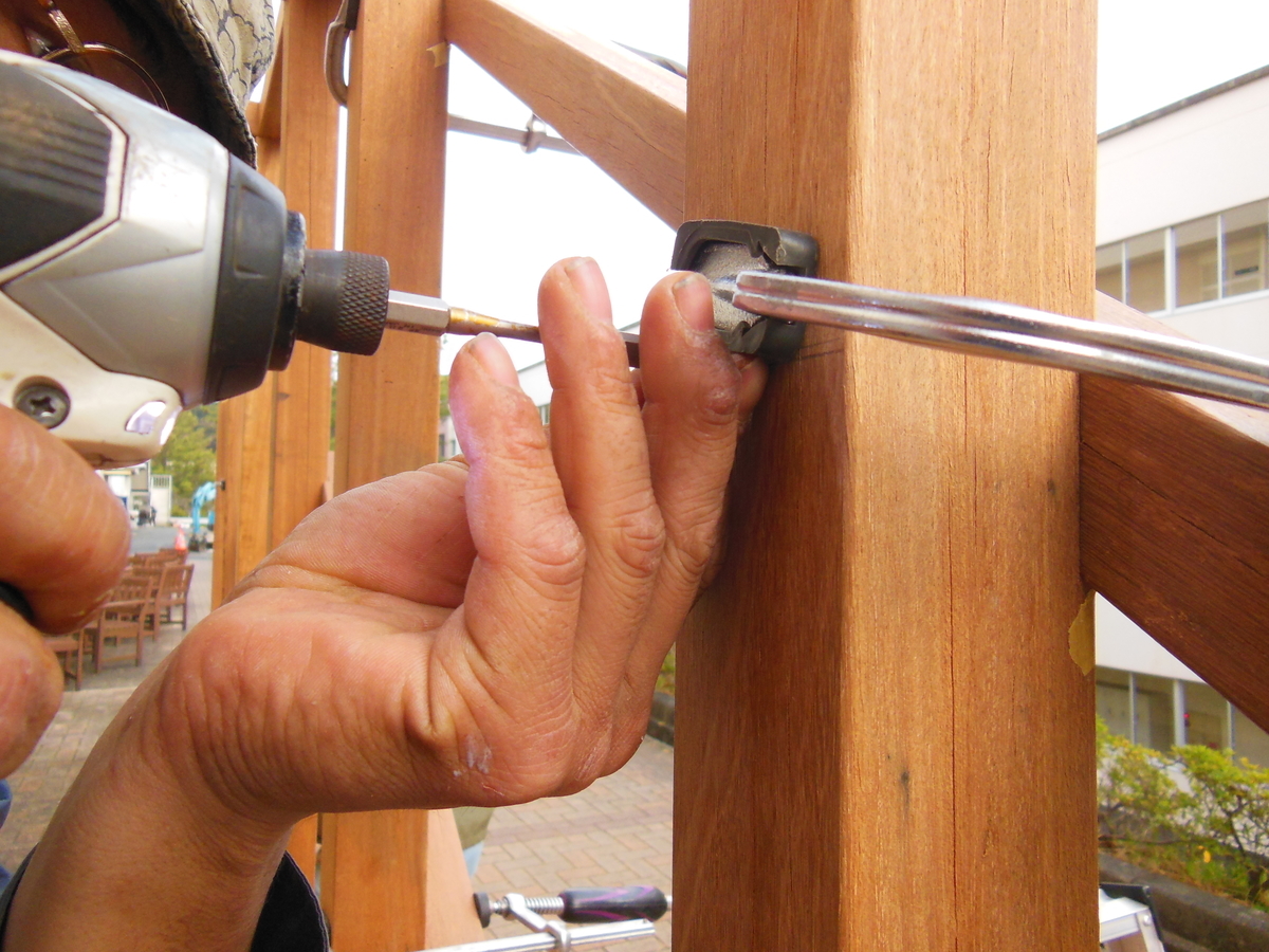 f:id:sizuokarikoka_ASSIST_PERGOLA:20190328113230j:plain f:id:sizuokarikoka_ASSIST_PERGOLA:20190328113230j:plain