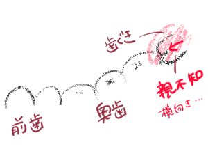 f:id:sizuru420:20200818011506p:plain f:id:sizuru420:20200818011506p:plain