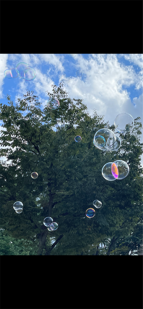 f:id:sizusizu321:20210910145339p:image