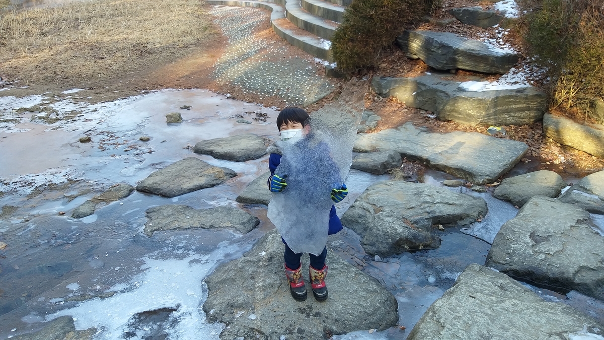 f:id:sjk7000:20210225235439j:plain