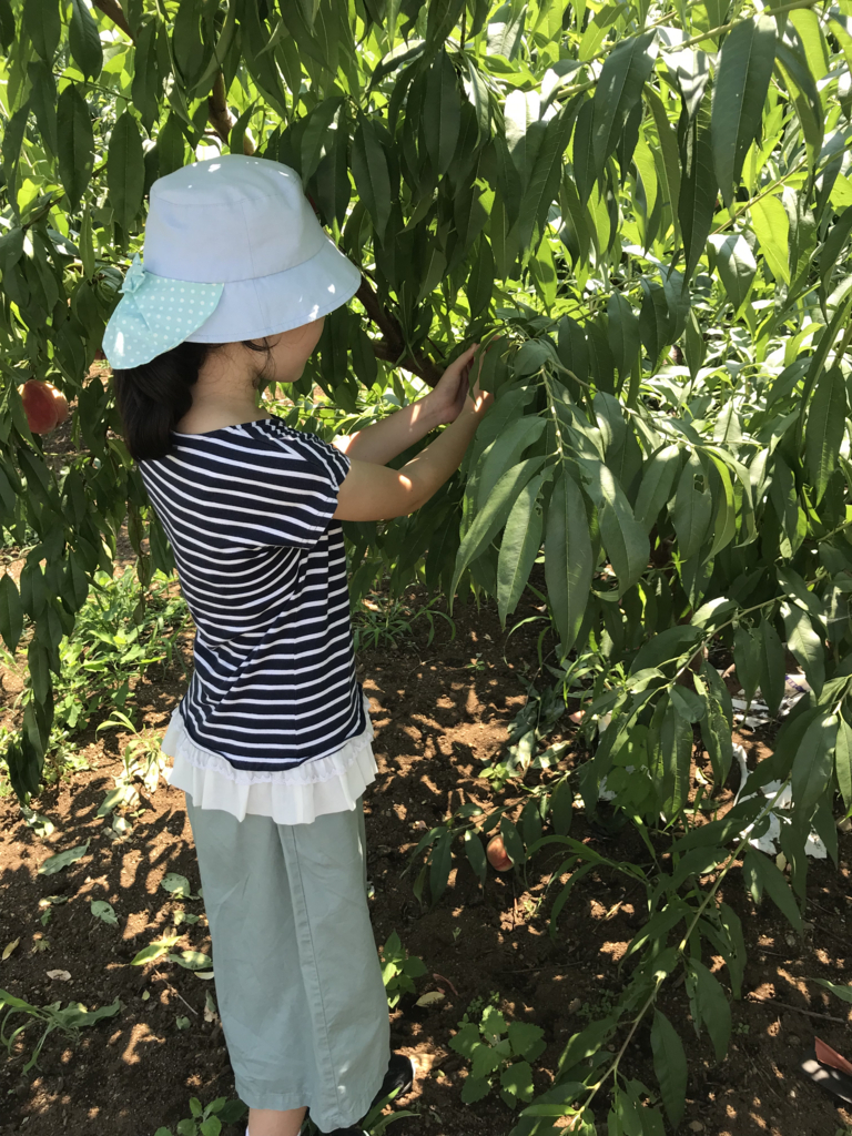 f:id:sjunko11:20180722020804j:plain