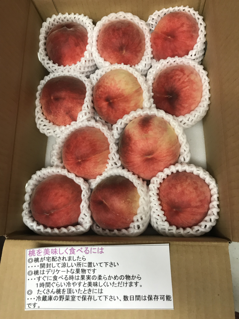 f:id:sjunko11:20180722021842j:plain