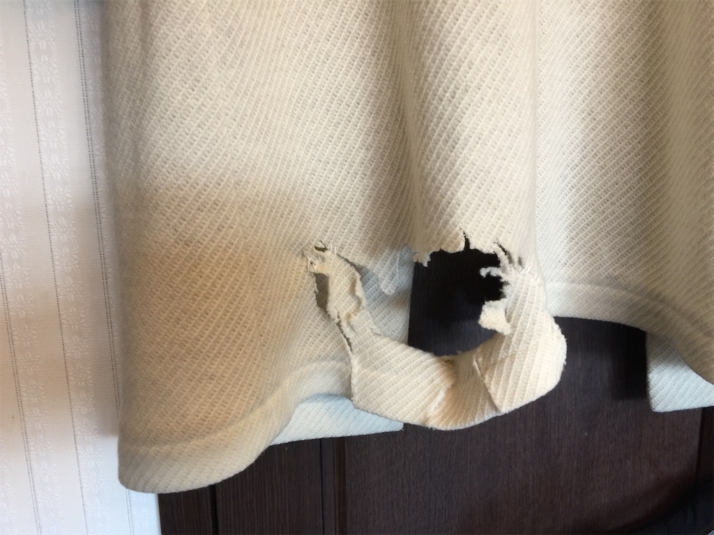 f:id:sjunko11:20191115193031j:image f:id:sjunko11:20191115193031j:image