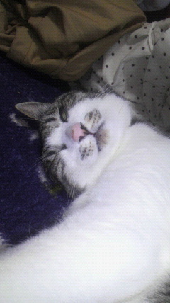 f:id:sk-0107:20120109143038j:image f:id:sk-0107:20120109143038j:image