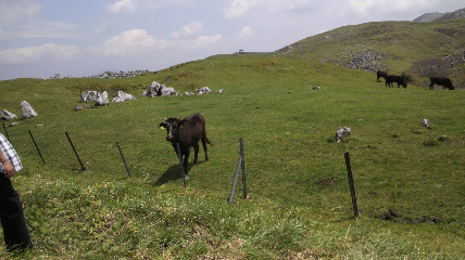 f:id:sk-0107:20120512004133j:image f:id:sk-0107:20120512004133j:image