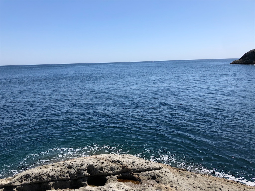f:id:sk0711shinsan:20200322070947j:image f:id:sk0711shinsan:20200322070947j:image
