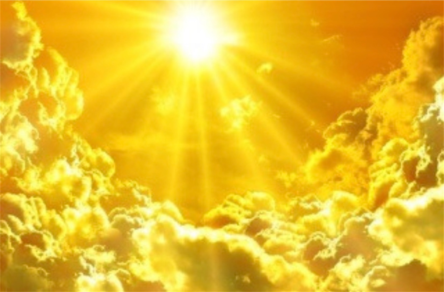 f:id:sk4349814:20191219095130j:image f:id:sk4349814:20191219095130j:image