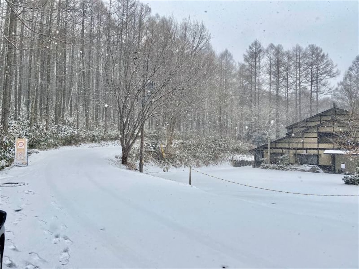 f:id:sk4349814:20191219095757j:image