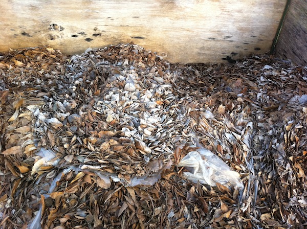 f:id:sk6960:20161030161739j:plain