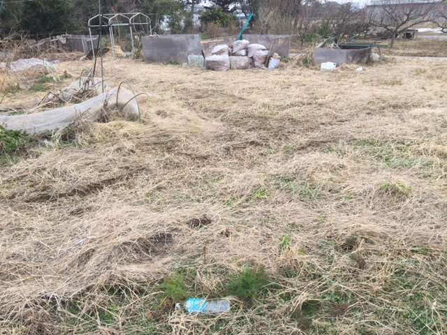 f:id:sk6960:20170109162951j:plain