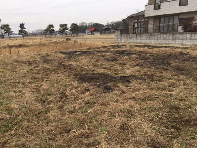 f:id:sk6960:20170109162956j:plain