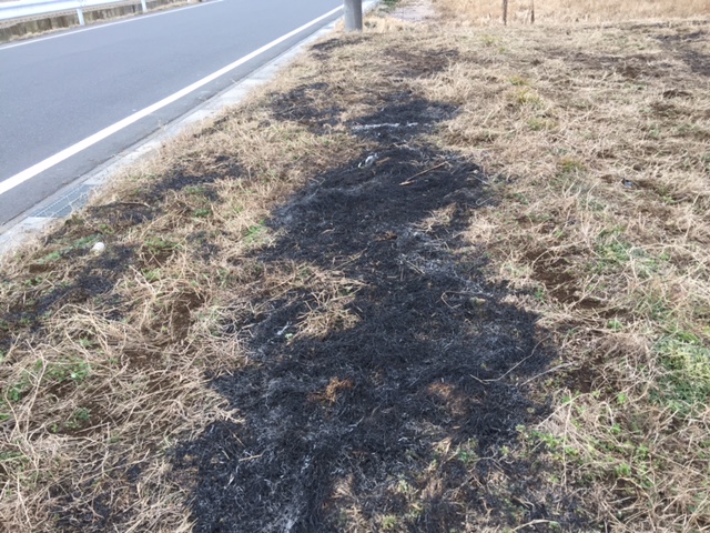 f:id:sk6960:20170109162957j:plain