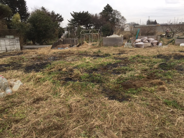 f:id:sk6960:20170109162958j:plain