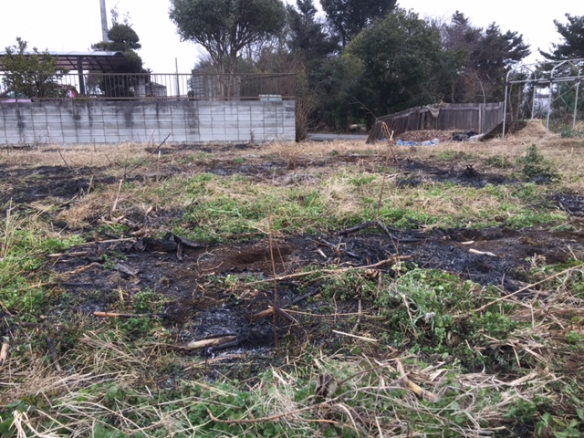 f:id:sk6960:20170109162959j:plain