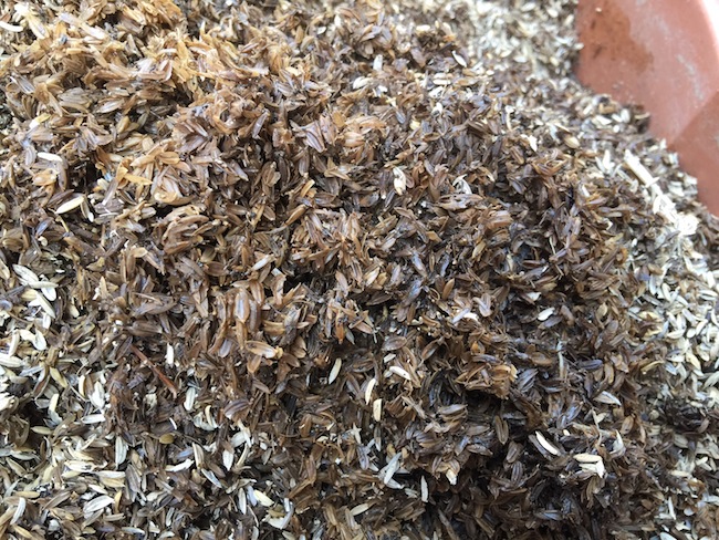 f:id:sk6960:20170305164452j:plain