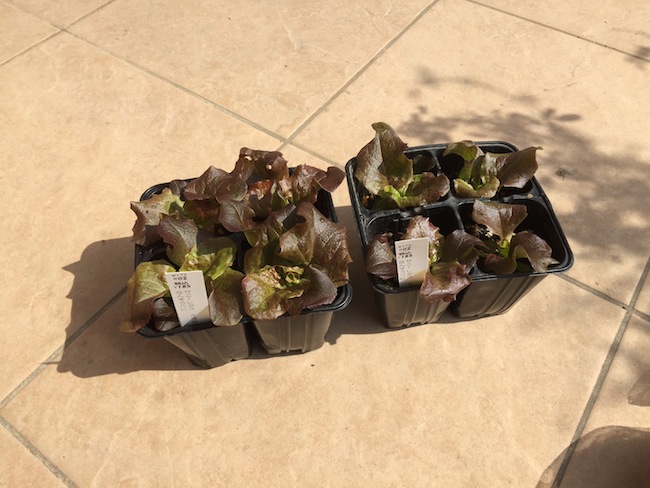 f:id:sk6960:20170305164455j:plain