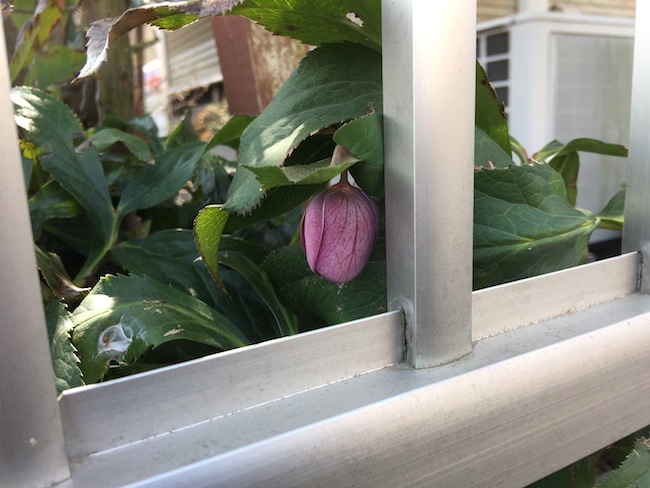 f:id:sk6960:20170305164501j:plain