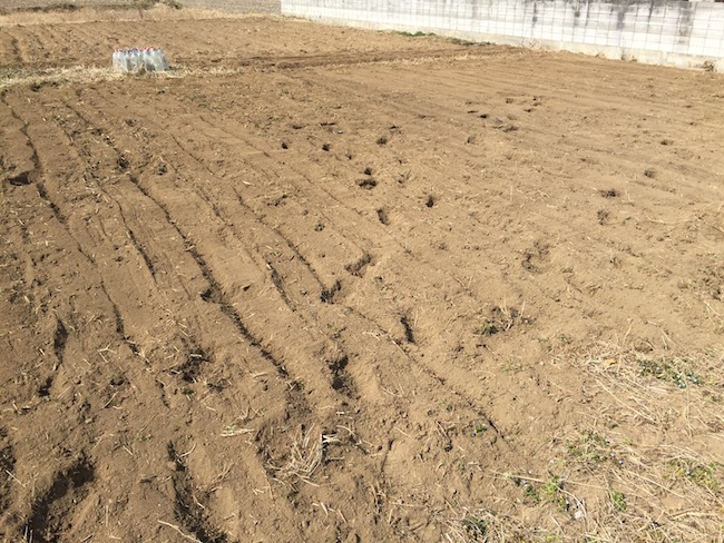 f:id:sk6960:20170305164505j:plain