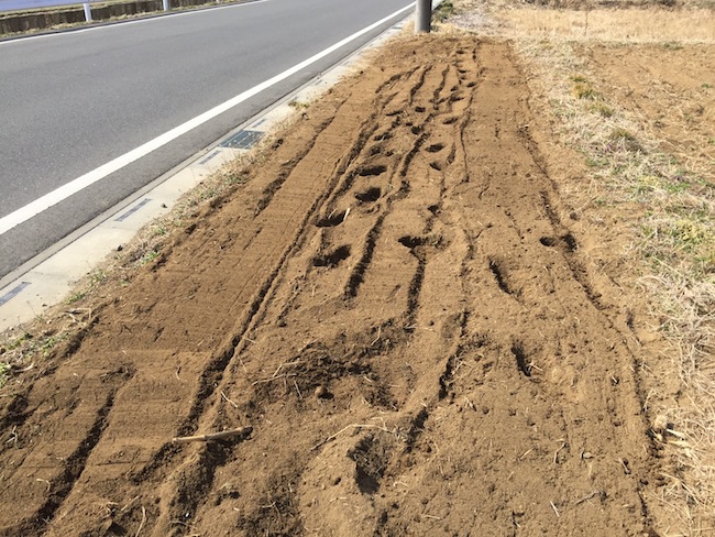 f:id:sk6960:20170305164506j:plain