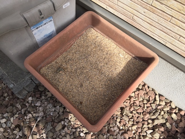 f:id:sk6960:20170305164512j:plain