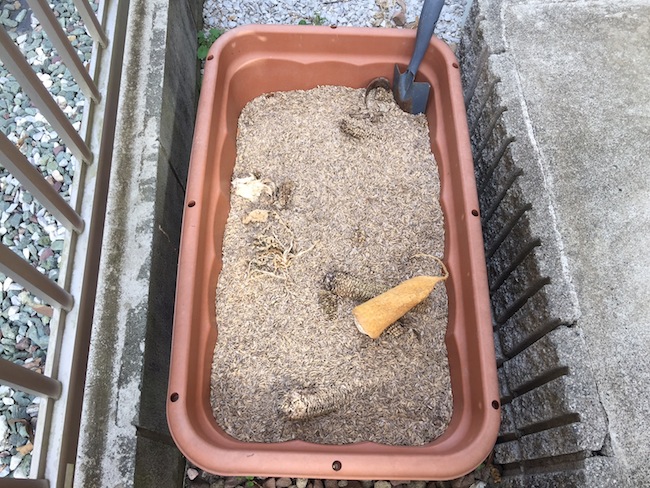 f:id:sk6960:20170305164513j:plain