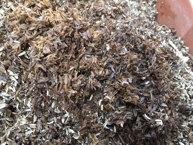 f:id:sk6960:20170305164514j:plain