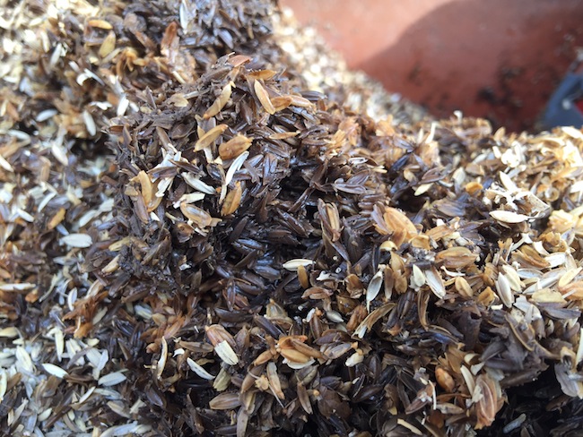 f:id:sk6960:20170305164517j:plain