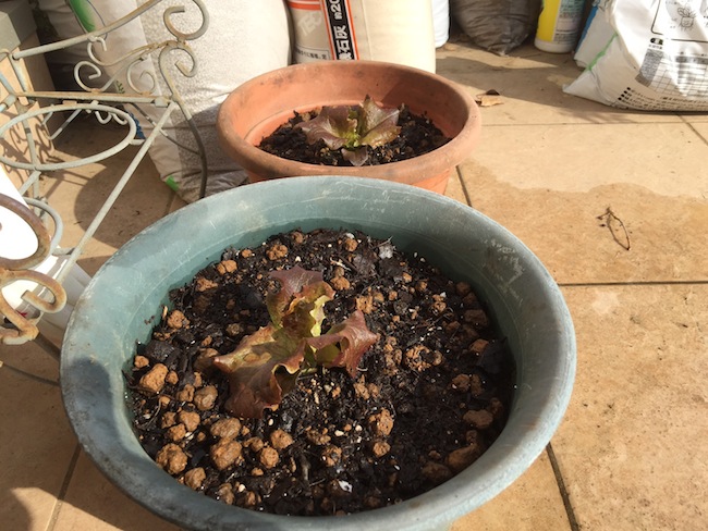 f:id:sk6960:20170305164518j:plain