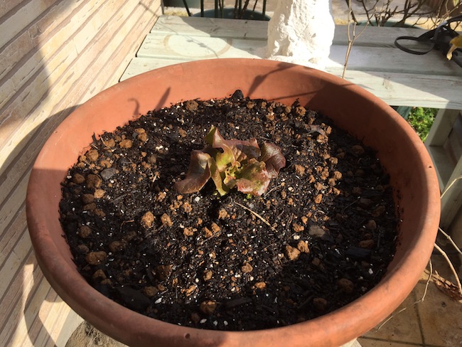 f:id:sk6960:20170305164519j:plain