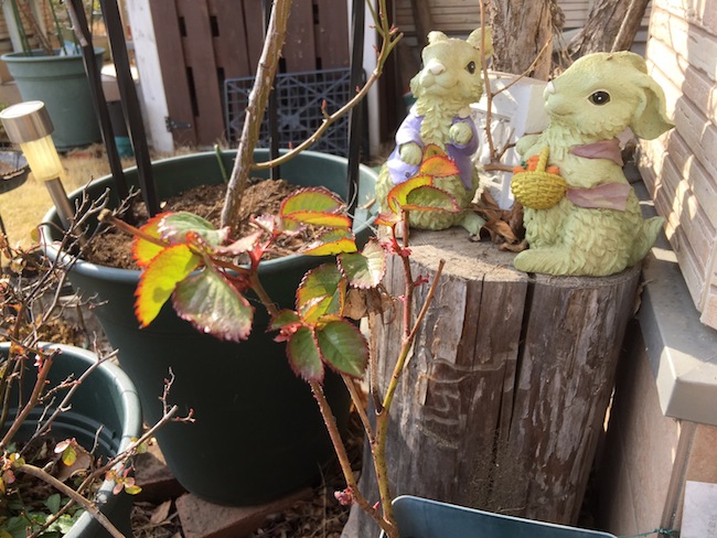 f:id:sk6960:20170305164523j:plain