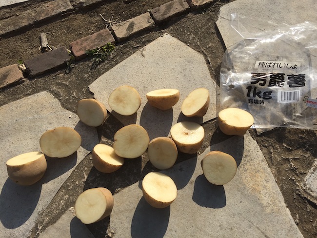 f:id:sk6960:20170312164146j:plain