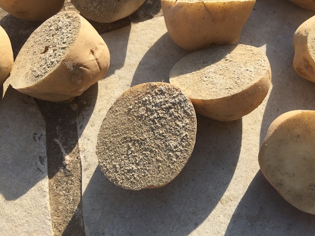 f:id:sk6960:20170312164149j:plain