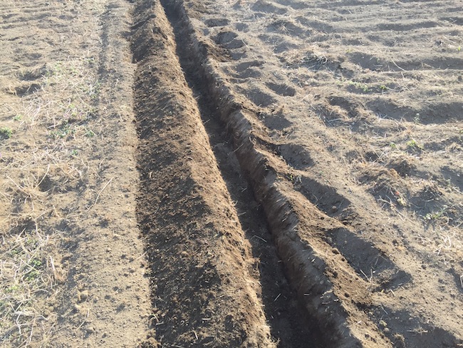 f:id:sk6960:20170312164152j:plain