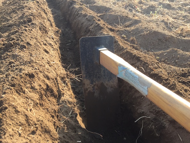 f:id:sk6960:20170312164154j:plain