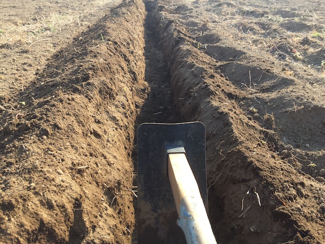 f:id:sk6960:20170312164155j:plain