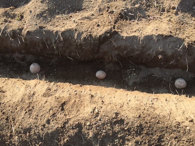 f:id:sk6960:20170312164157j:plain