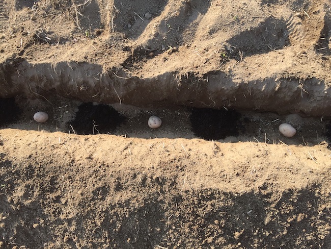 f:id:sk6960:20170312164158j:plain